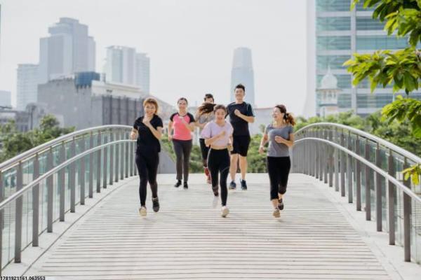 门球属于哪种体育运动？详细解析